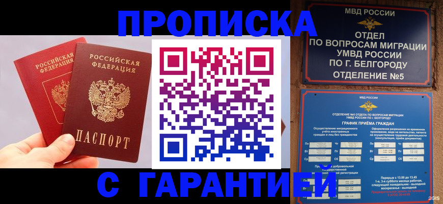 прописка 2025 в Камышлове